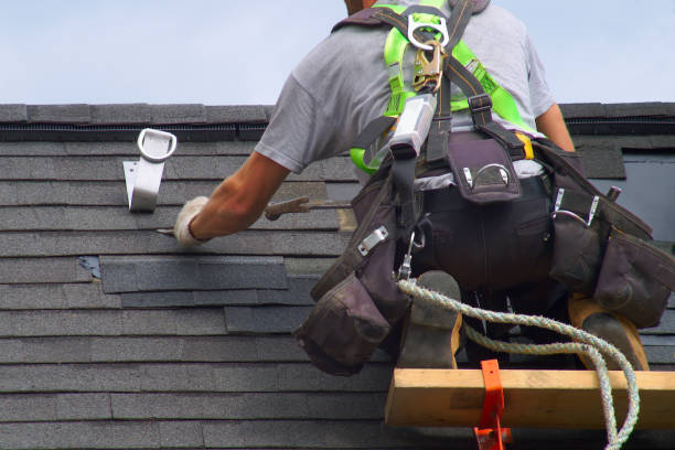 Best Local Roofing Companies  in Skidway Lake, MI