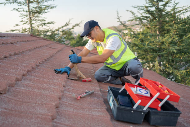 Roof Gutter Cleaning in Skidway Lake, MI
