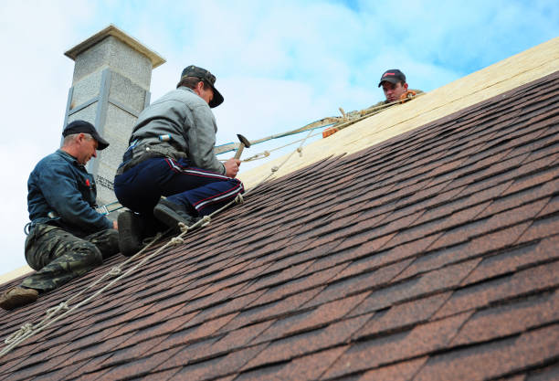 Best Storm Damage Roof Repair  in Skidway Lake, MI