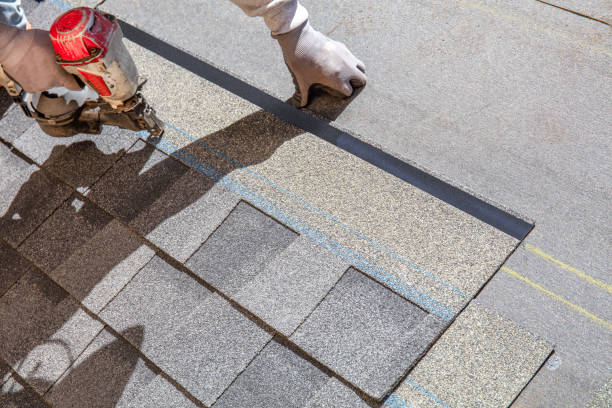 Best Roof Leak Repair  in Skidway Lake, MI