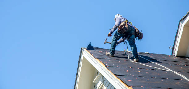 Best Roof Gutter Cleaning  in Skidway Lake, MI